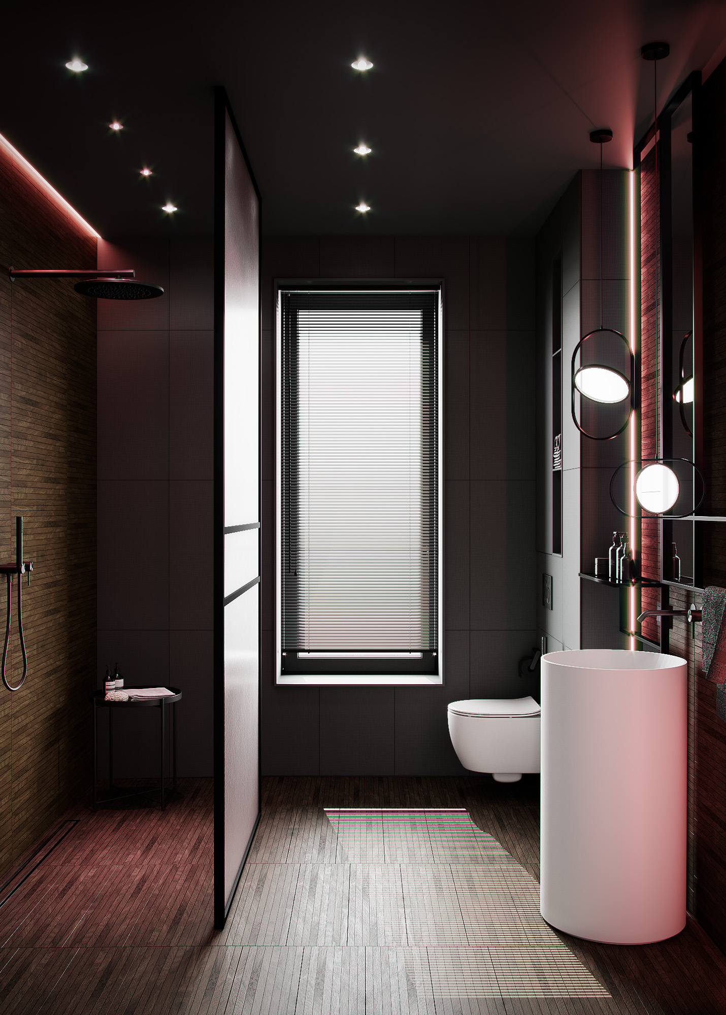 Modern country house in dark colors, bathroom, photo 2